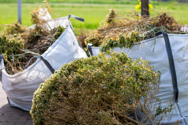 Best Junk Hauling Services  in Arabi, LA
